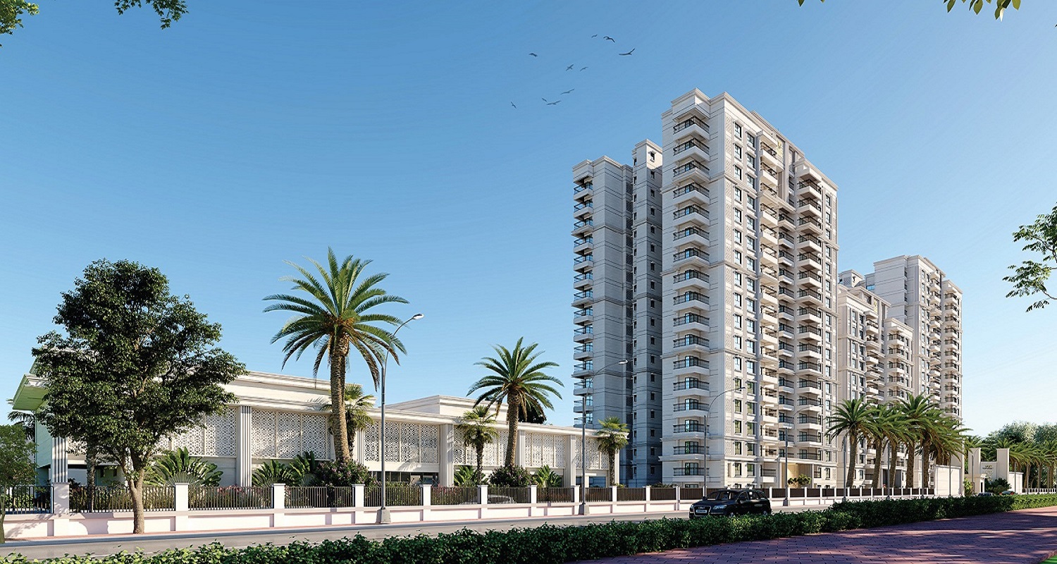 DLF Tardeo banner